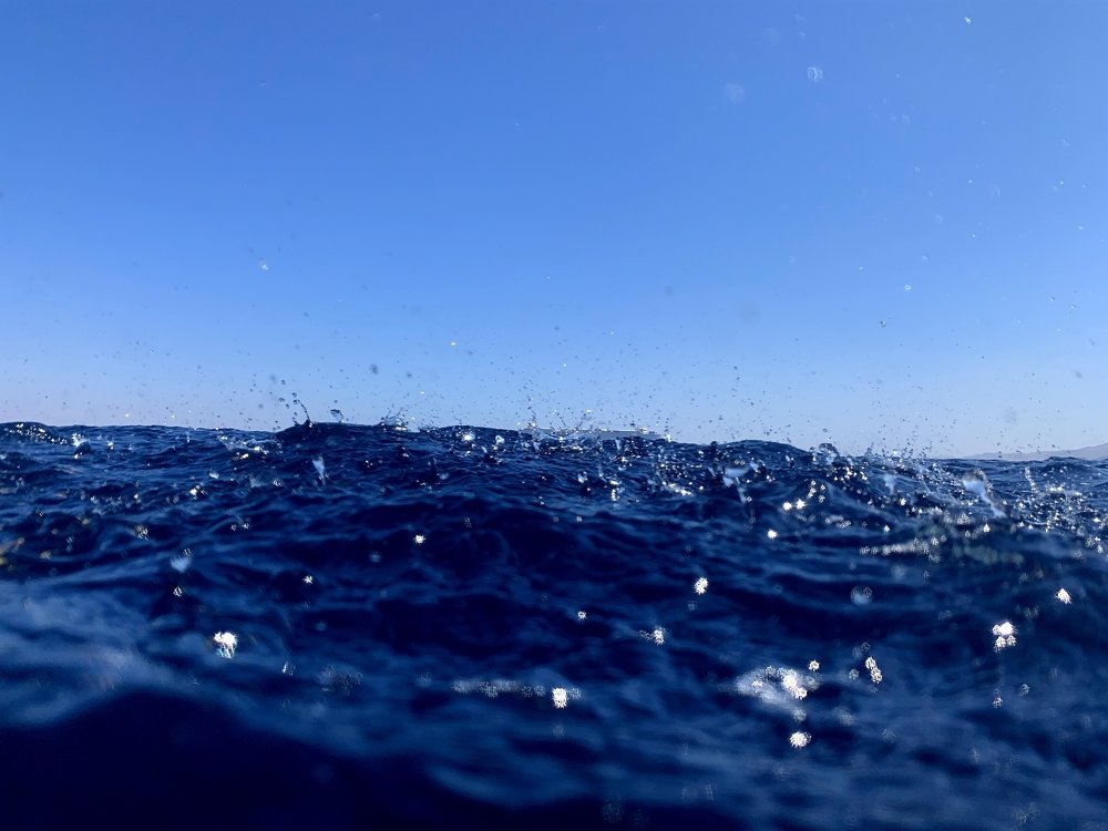 Photograph by Илья Витязев