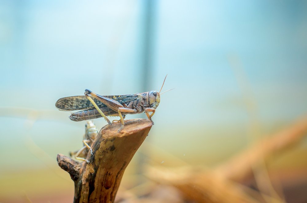 Photograph by Ирина Никифорова