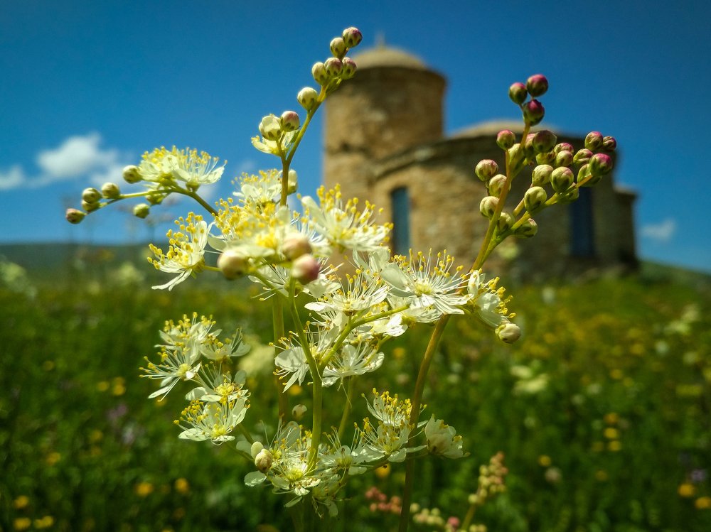 Лишь бы не было войны.