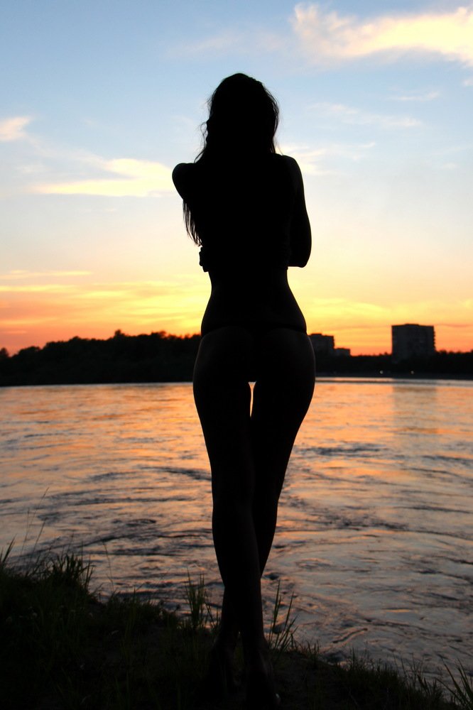 Вечерний силуэт