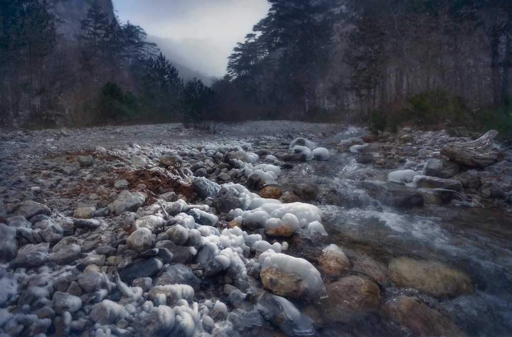 Photograph by Таня SHE (Aiya)