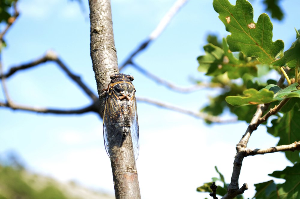 Photograph by Дмитрий