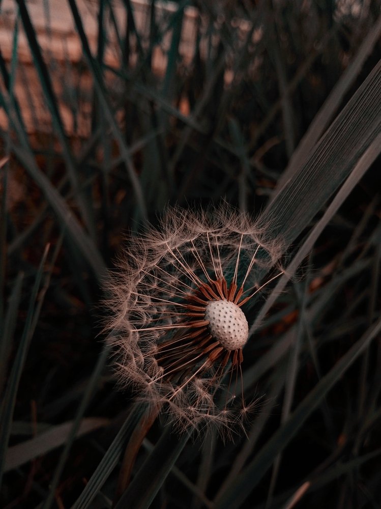 Photograph by Настя Сайкина