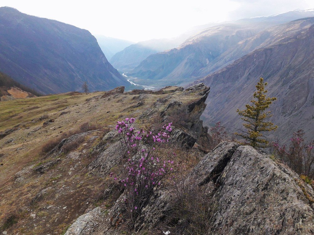 Photograph by Фурсова Людмила