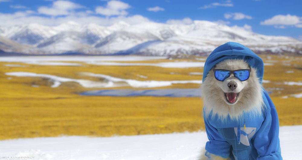 Самоедский стиль