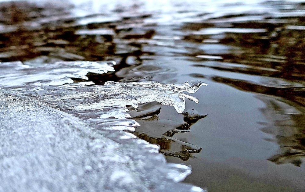 Весна на реке