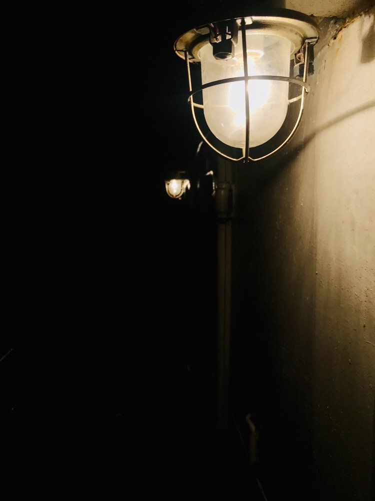 Photograph by Дарья Сидорова