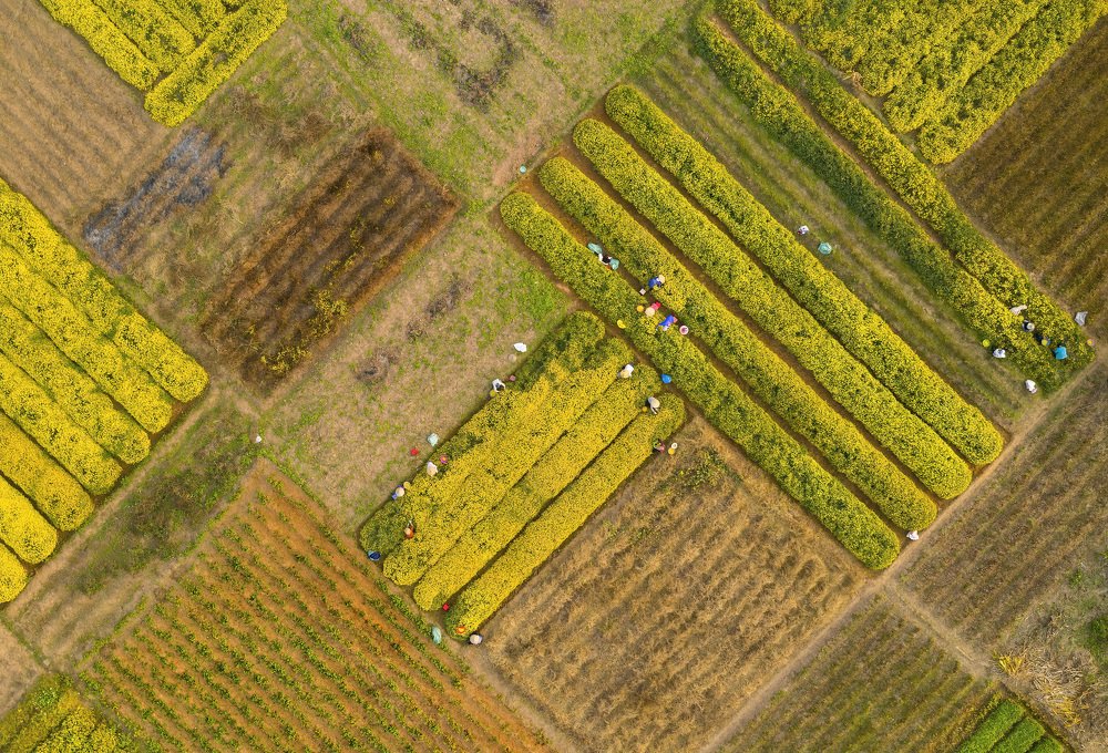 Photograph by Cong Pham Chi