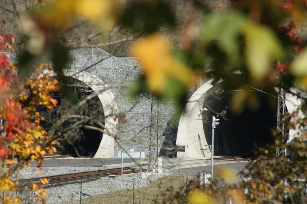 Photograph by Поддубняк Наталья