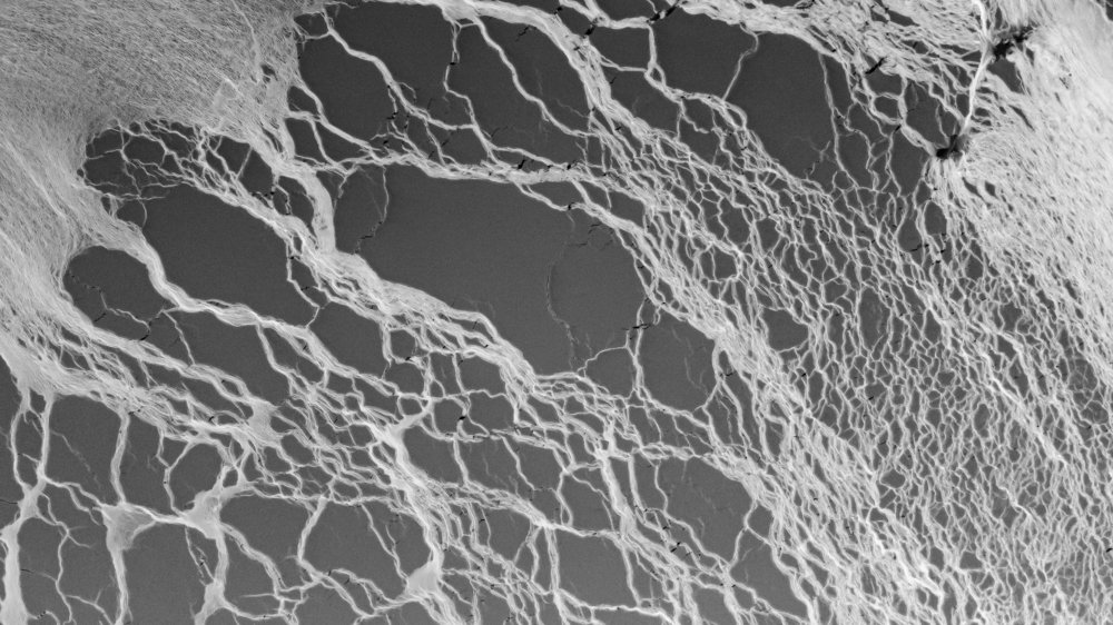 Photograph by Кирилл