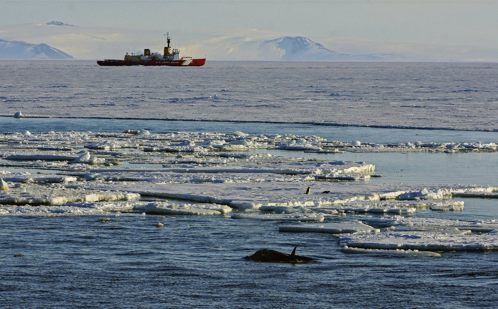 Антарктическая классика