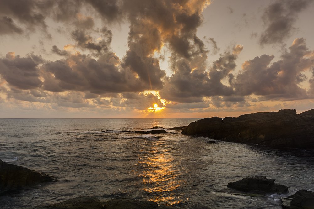 Фотография автора Milena Ivanova