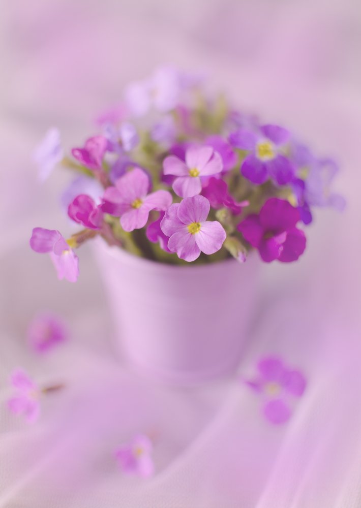 Photograph by Ирина Туяхова