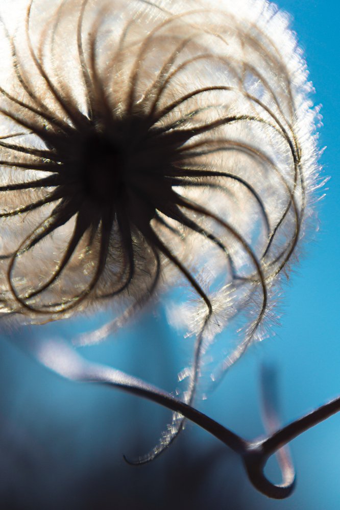 Photograph by Светлана Теперкина