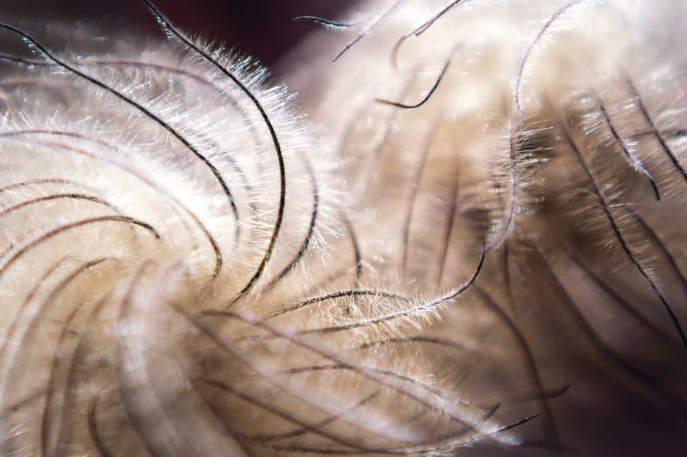 Photograph by Светлана Теперкина