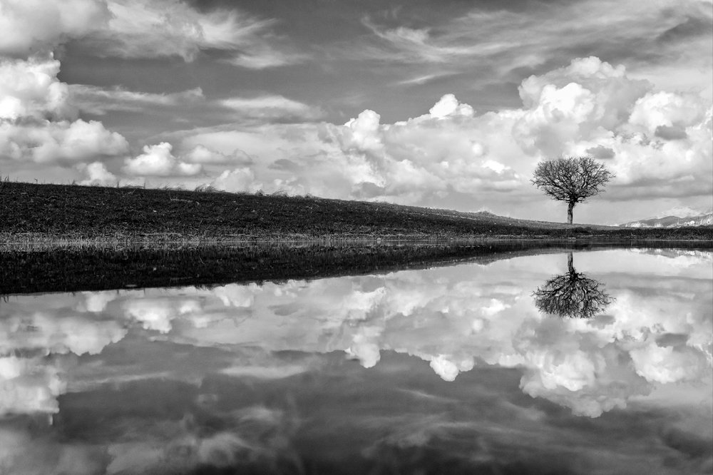 Photograph by Edris Khosravizadeh