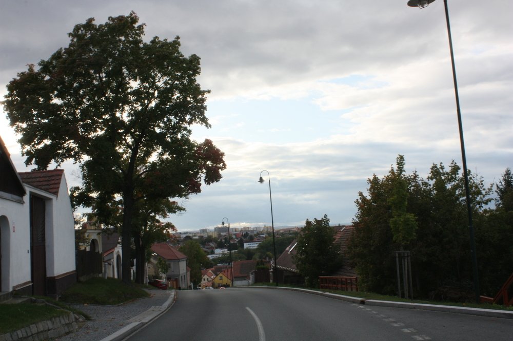 Photograph by Поддубняк Наталья