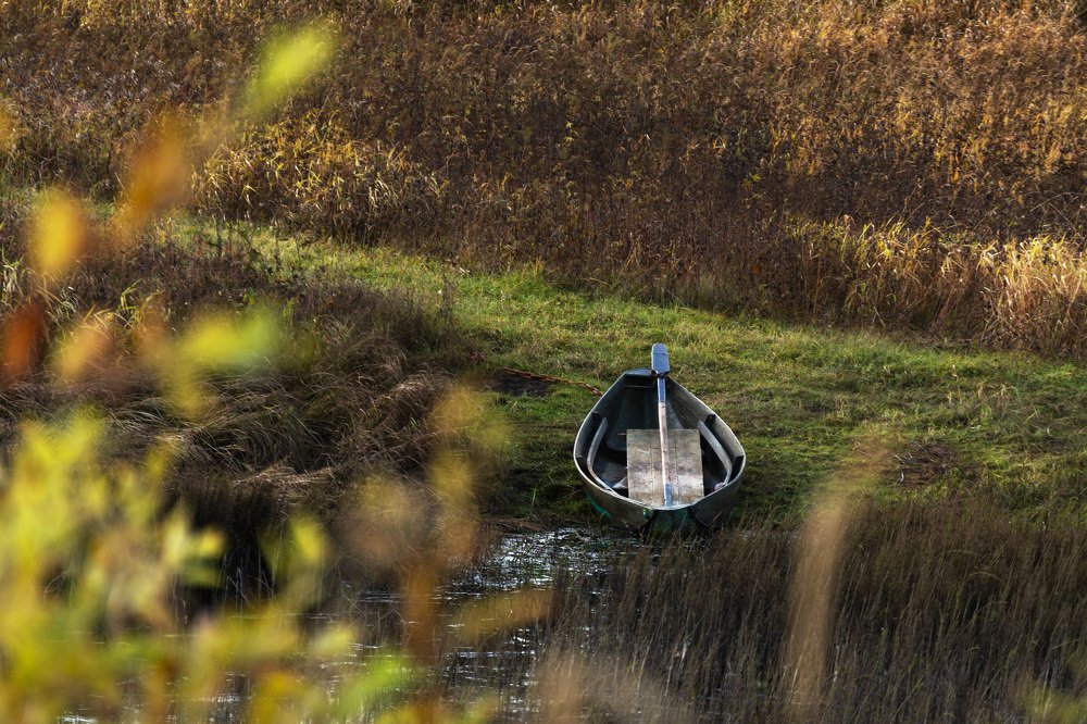 Photograph by Сергей Шмелев