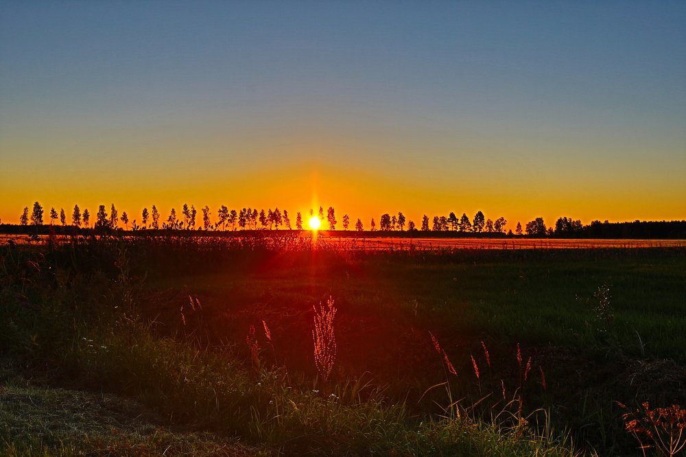 Morning in Sweden