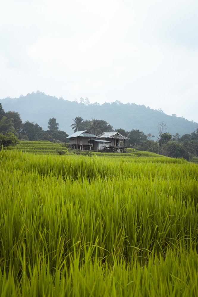 Photograph by Oscar Wilfan