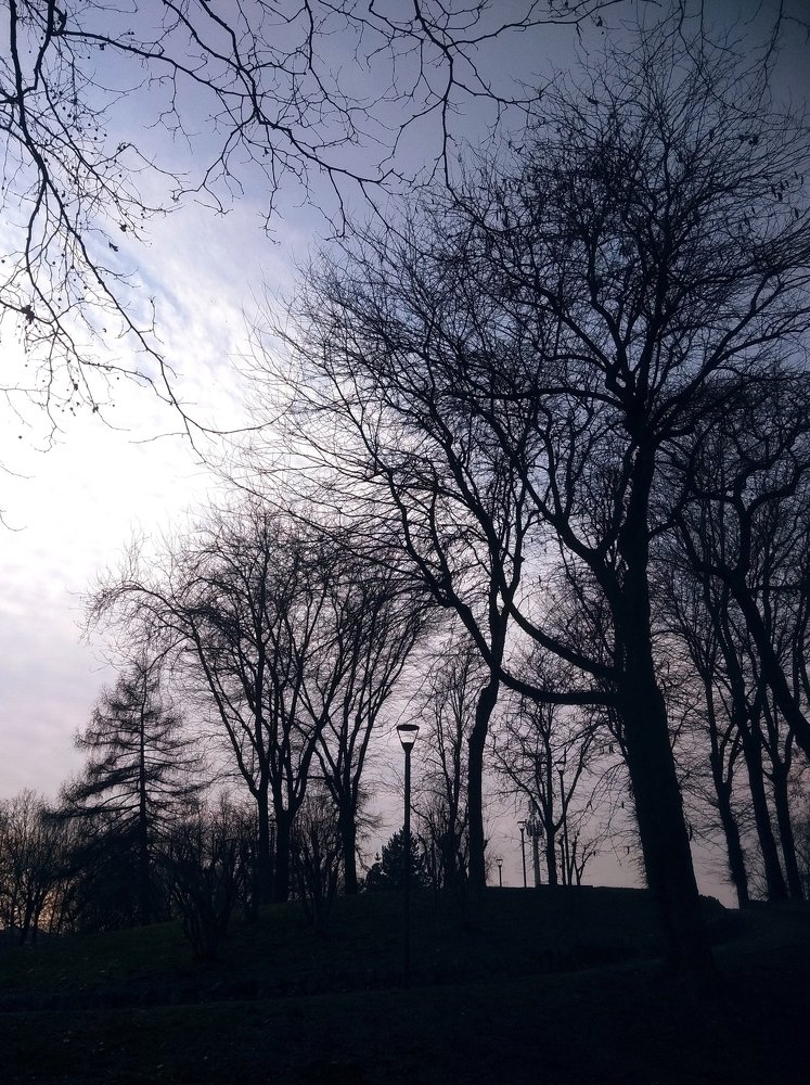 Photo #4334686