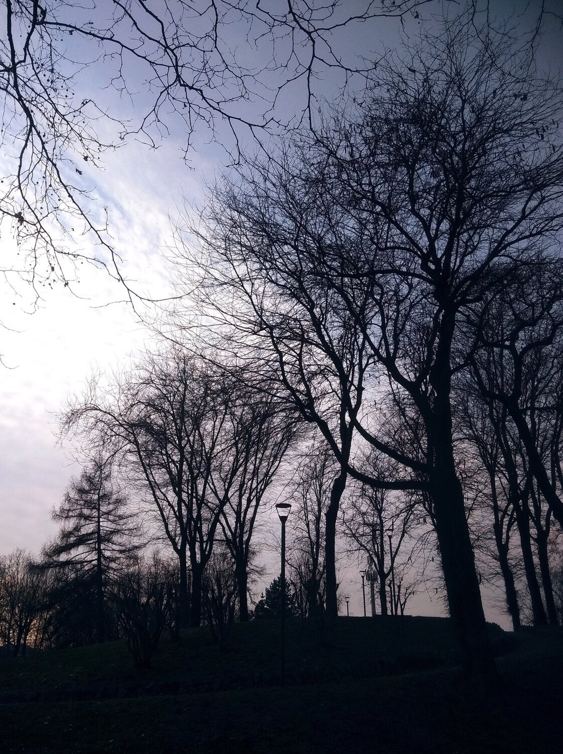 Photo #4334686