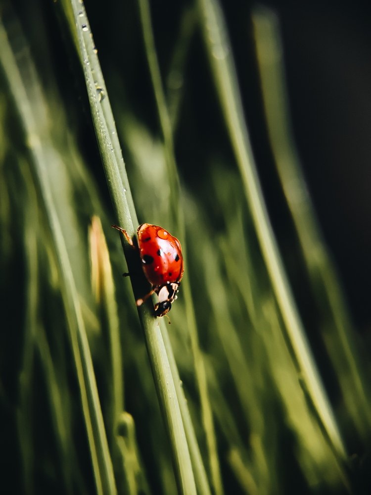 Photograph by Евгения Костырко