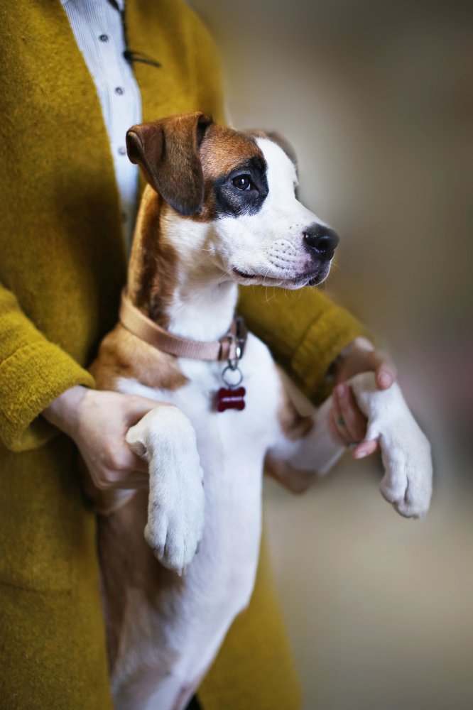 Photograph by Анастасия Ярмак