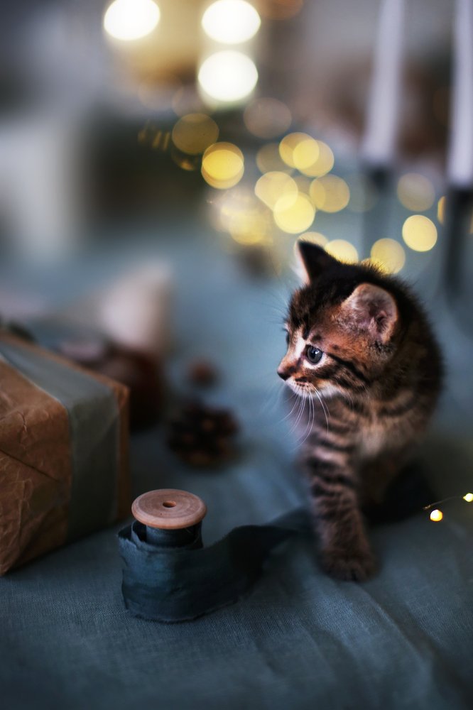 Photograph by Анастасия Ярмак