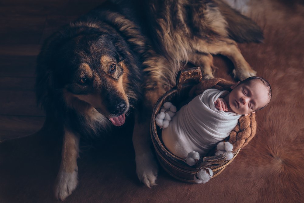 Photograph by Аліна Громко