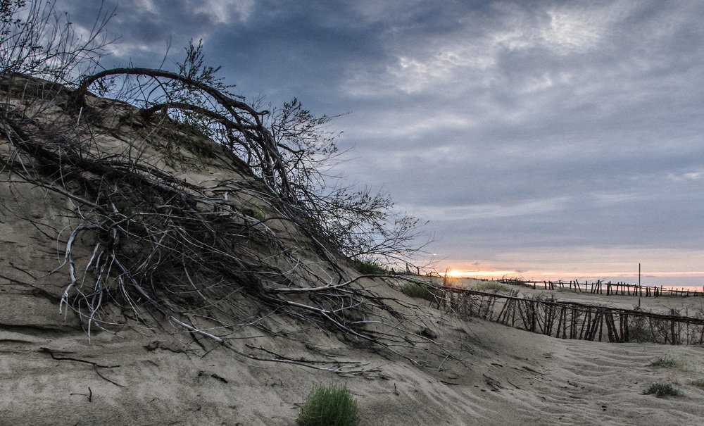Восход над Мертвыми дюнами