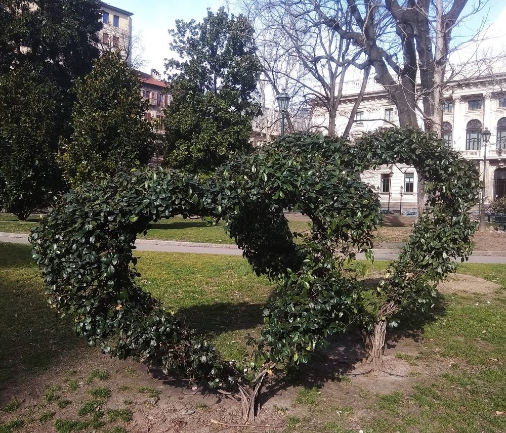Photograph by Chiara Benedetta Condorelli