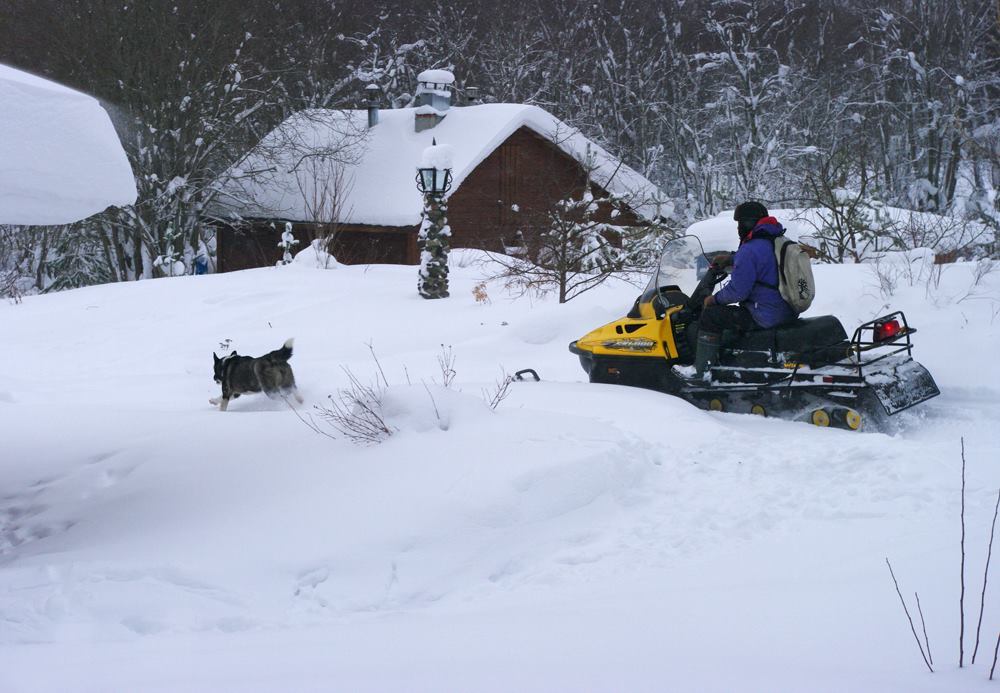 В магазин за хлебом