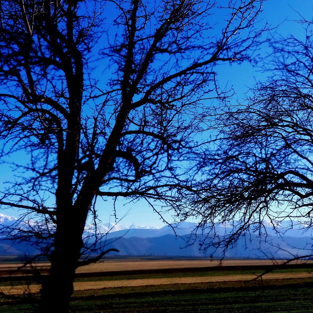 О старости,,