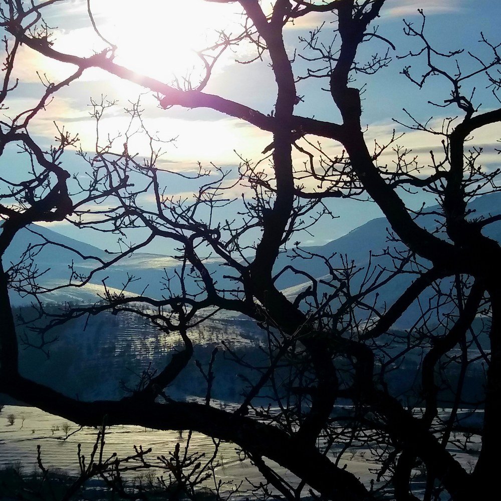 Нервная система,,,