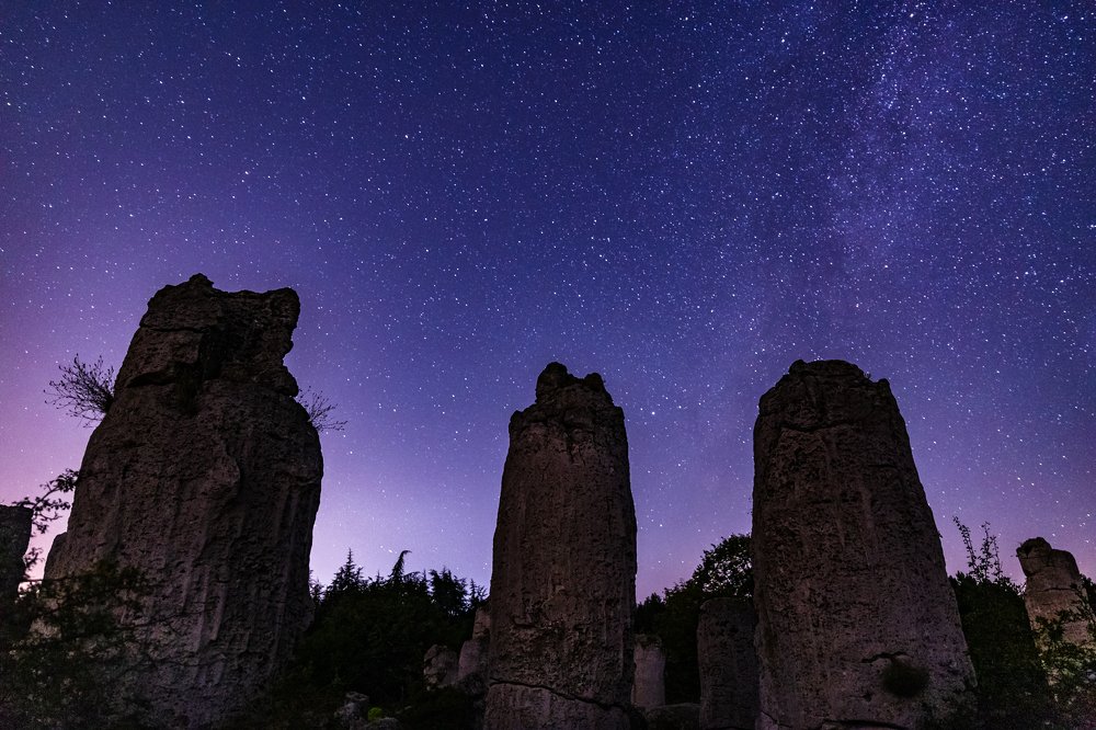 Stone Forest by night