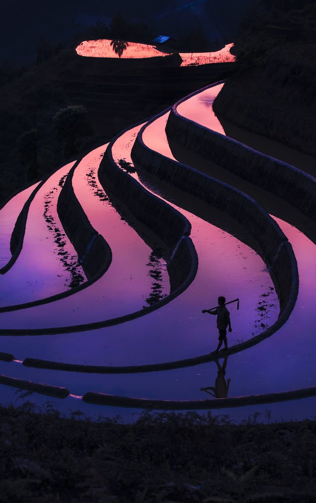 Photograph by Cong Pham Chi