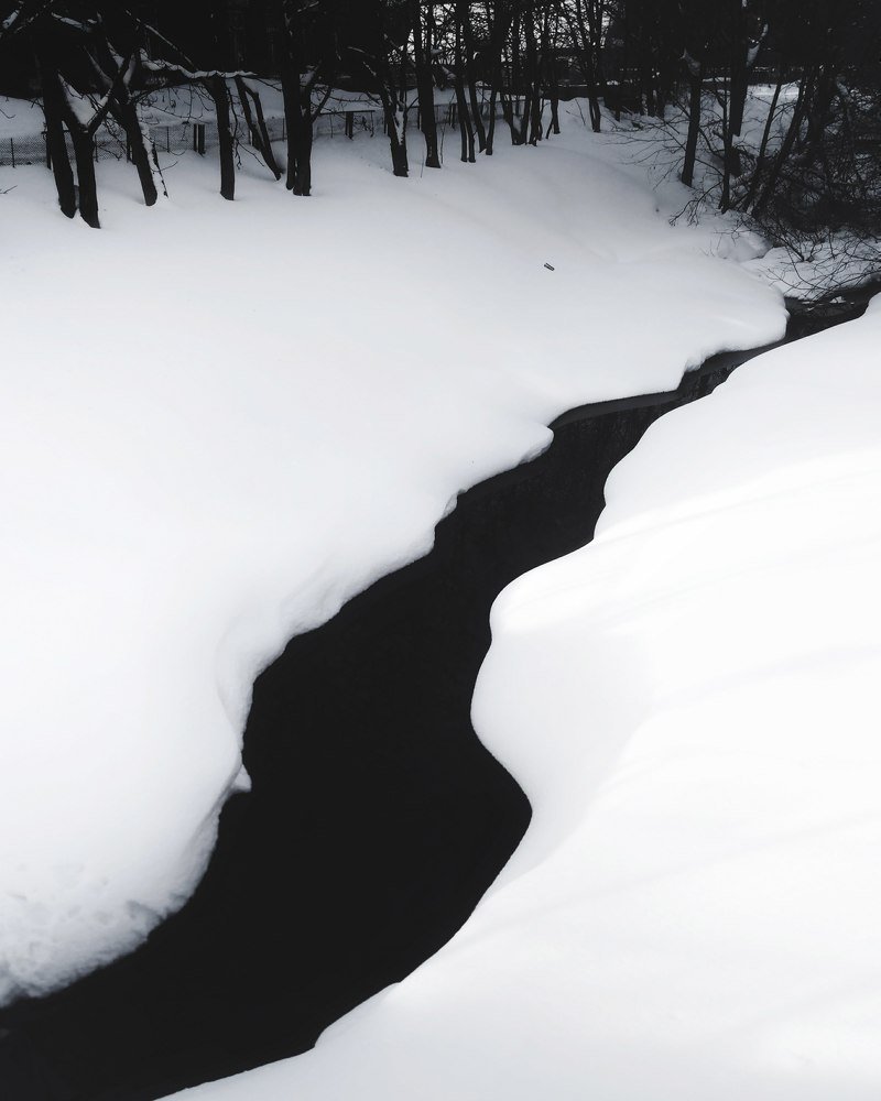 Photo #4334921