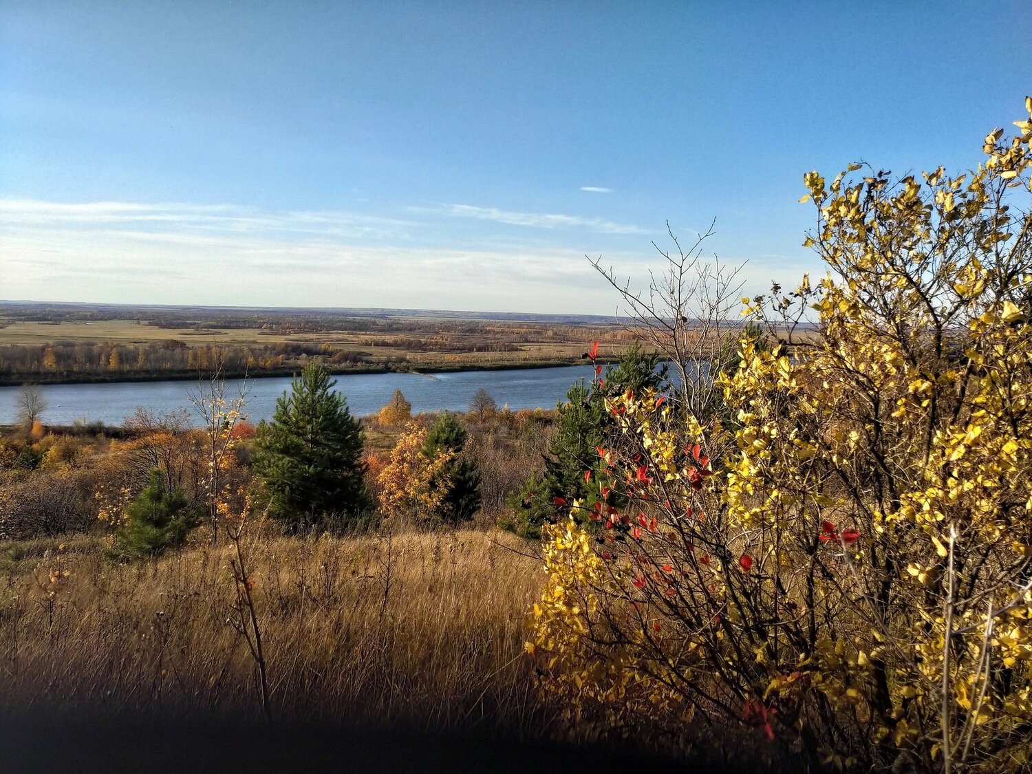 Photo #4334938