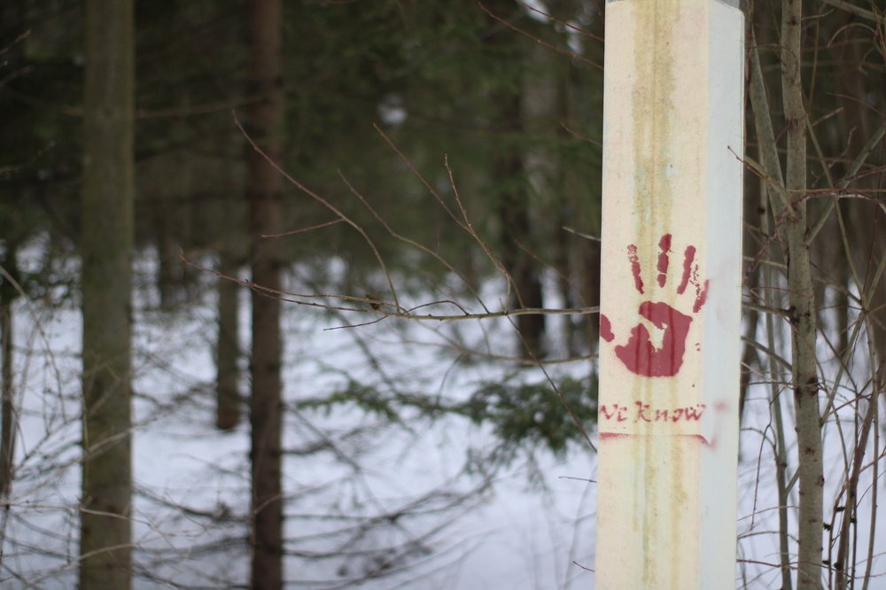 Photograph by Михаил Костыря