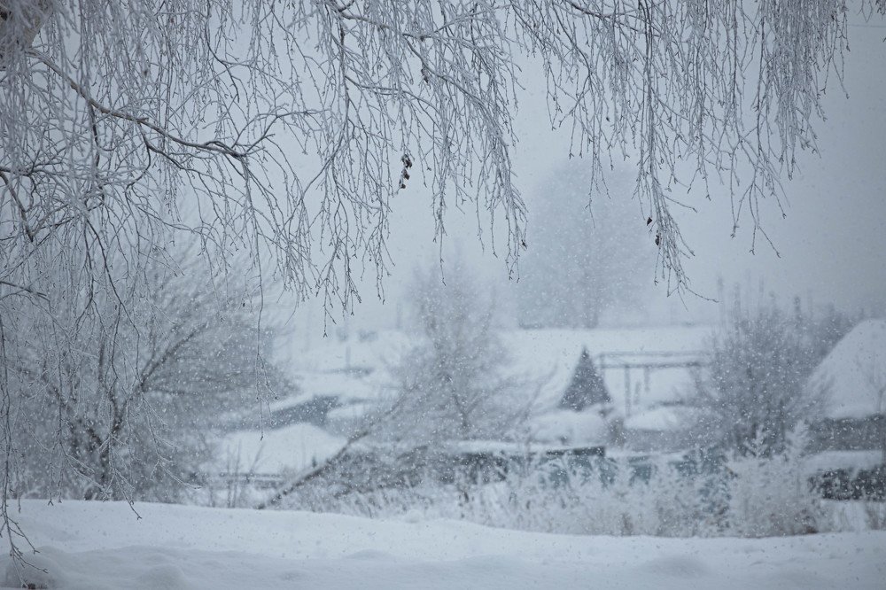 Photograph by Мила Мокина-Хайруллова