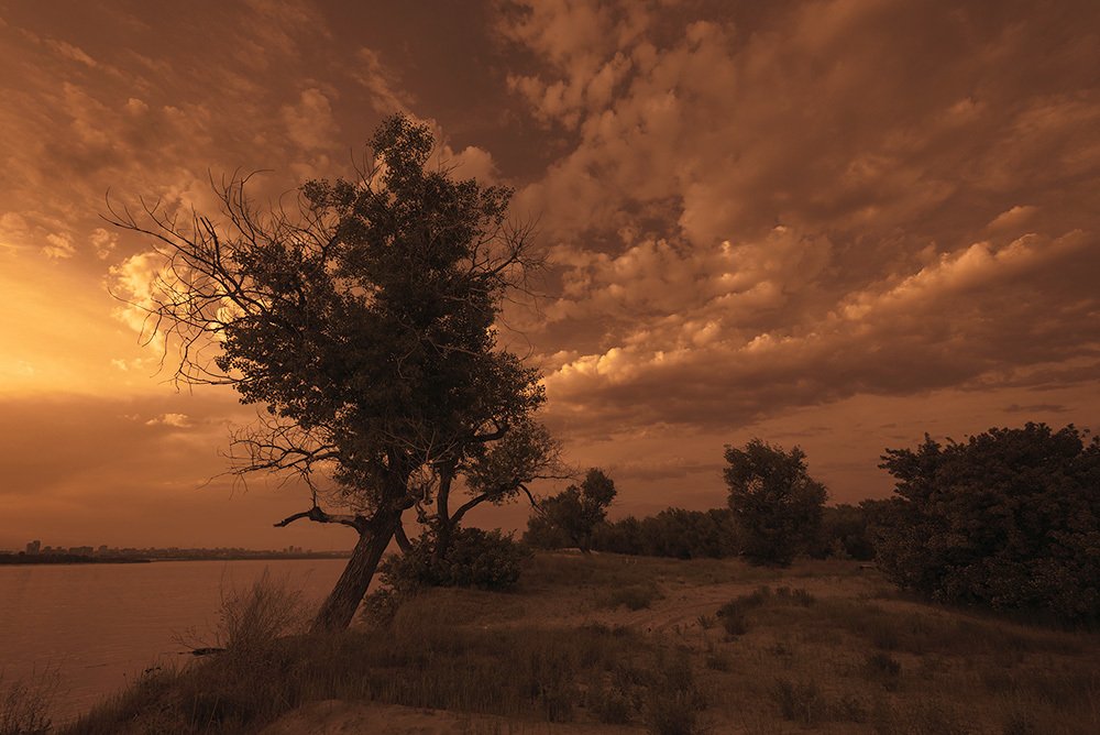 Фотография автора Игорь Баранов