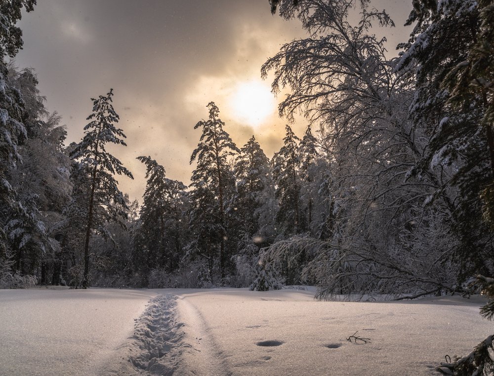 Photograph by Сергей Юрков