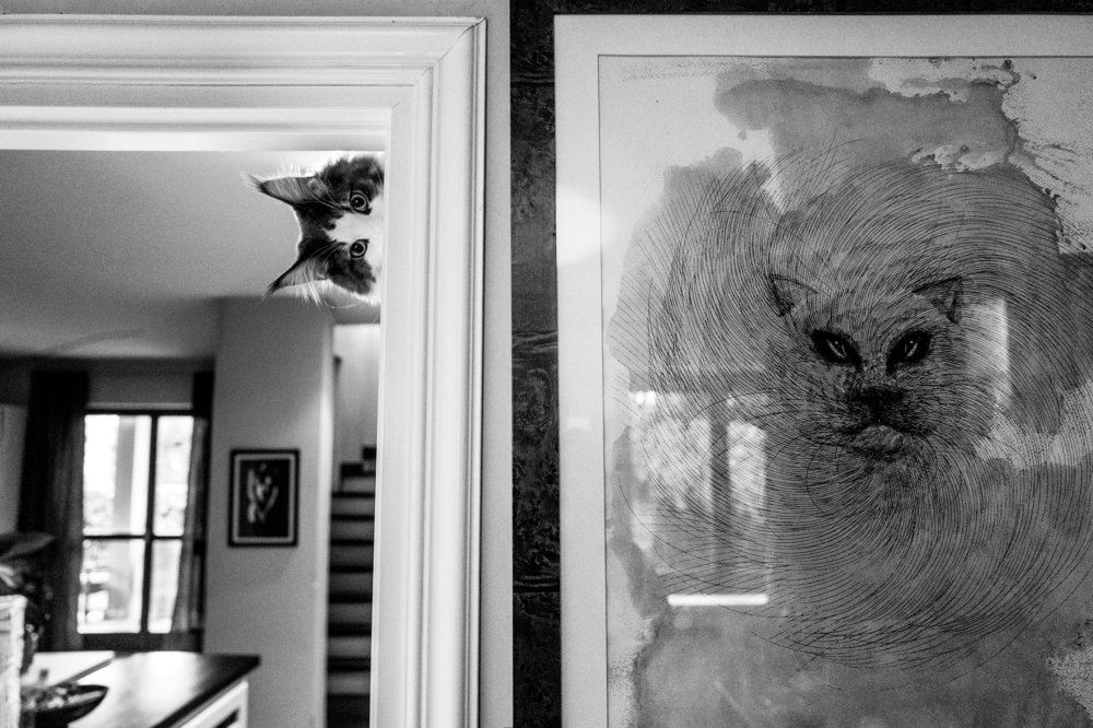 Photograph by Jevgenija Sepeliova