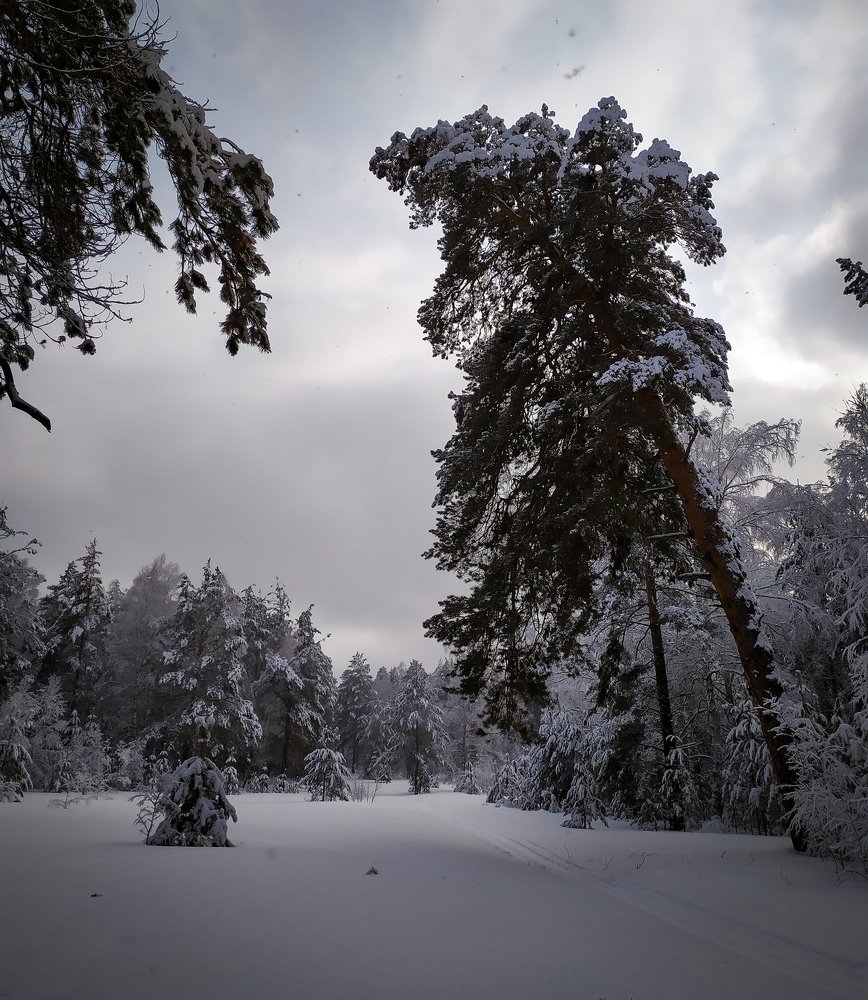 Photograph by Сергей Юрков