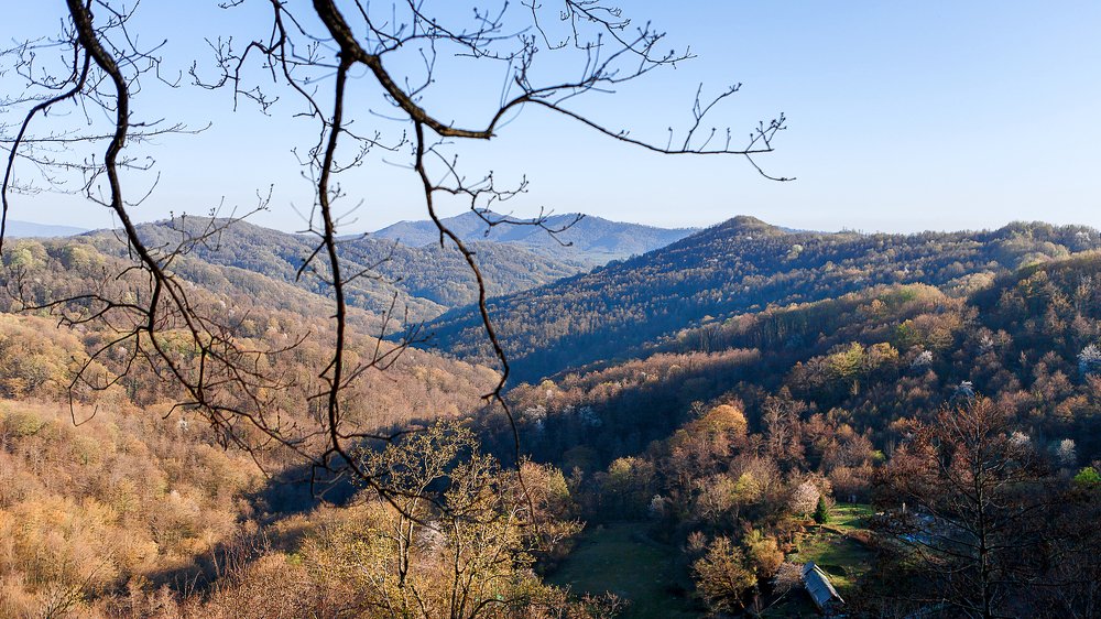 Photograph by Максим Белашов