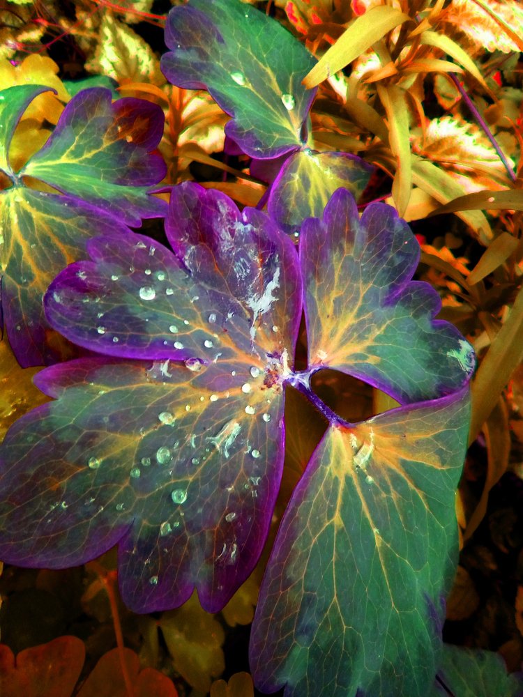 Яркие краски осени