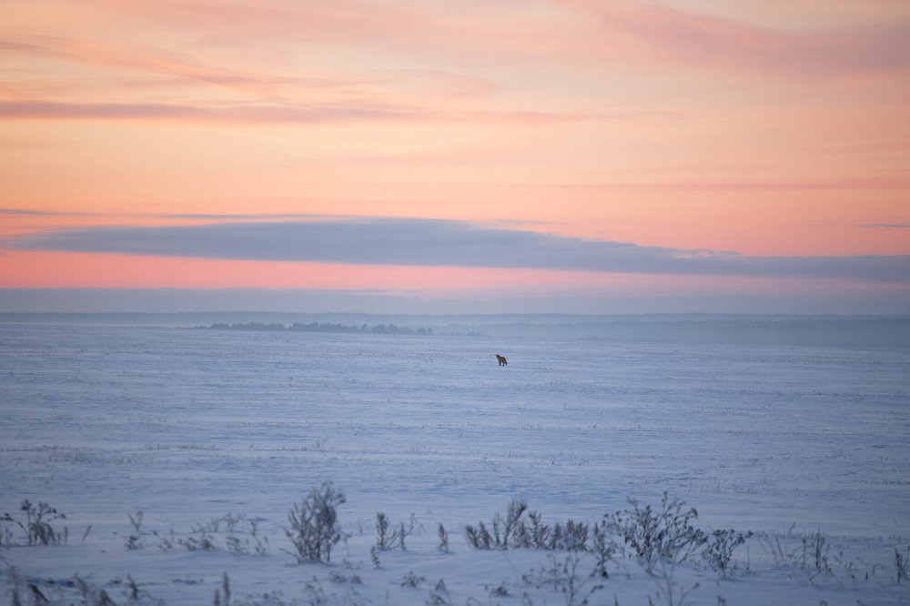 Photograph by Мила Мокина-Хайруллова