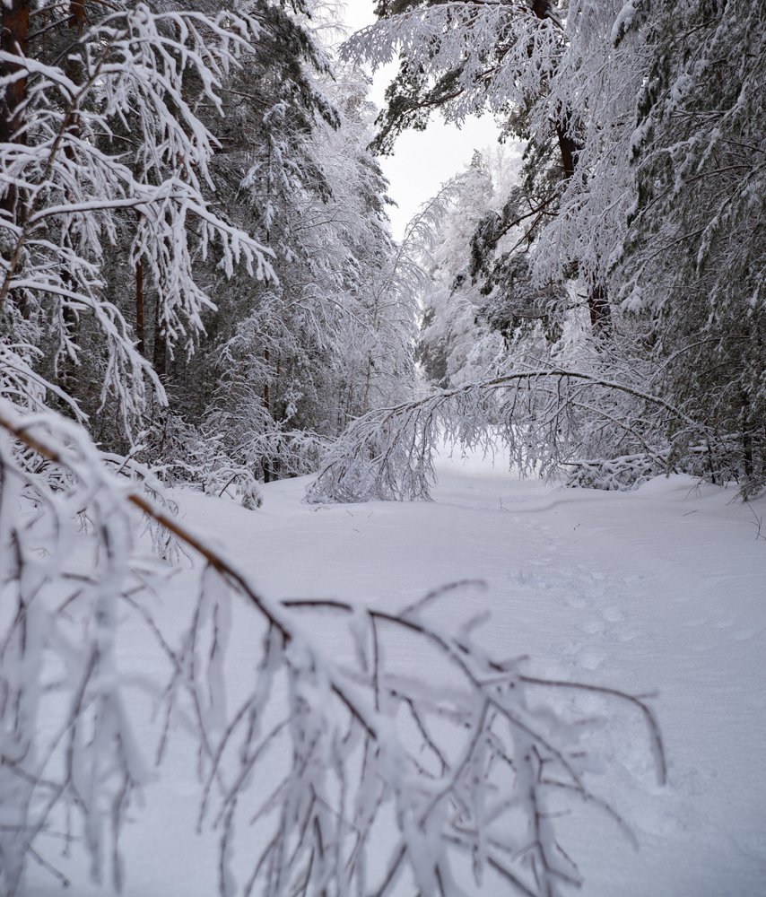 Photograph by Сергей Юрков