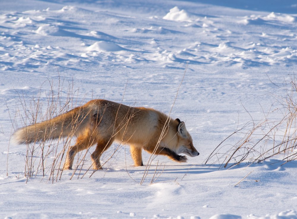 Photograph by Сергей Юрков